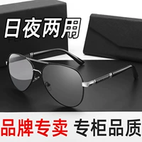 Черное серебряное изменение рамы [HD -подкрепление Polaries] Двойное назначение дня и ночи