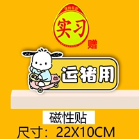 Shun Pig использует [магнитная наклейка] -в лазерных стажировках наклейки