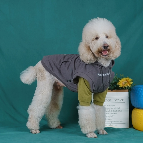 Лабрадорская одежда весна и осенняя средняя и большая собачья пальто осень зима золотой ретривер Сацума дорогой пограничный воротник Большой собачья одежда тенденция