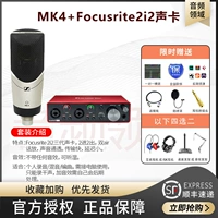 Advanced звуковая карта Mk4+2i2