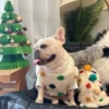 Товары от KiKi PET