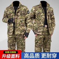 Камуфляжный, изысканный, износостойкий