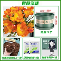 A4 Orange Siangxuellan 10+ [набор удобрений для горшков