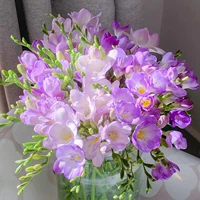 Purple Xiangxuelan 3 гола+2 упаковки органические удобрения