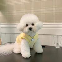 Желтый [высокое качество]