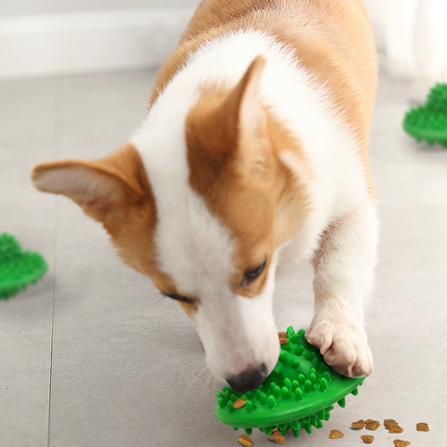 Dog Pet Toy Automatic Feed Device Size Small Paparazzi Self -мыть