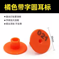 Оранжевый круглый набор 100 наборов