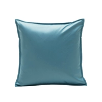 Сокровище синий [там есть граница]