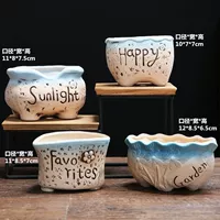 Четыре креативных вегетарианских жареных цветочных горшок