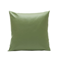 Сосновая камень зеленый [граница]