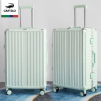 Светло-зеленый (страхование груза + пылезащитный чехол)