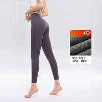 [Толстая барвета] усовершенствованный серой (подходит для -5 ° C -10 ° C)