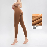 【Весной и осенний участок】 Осенний кофе (подходит для 20 ° C+)