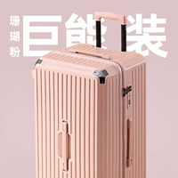 [Коралловый вентилятор] Якорь рекомендует 80%клиентов выбрать основной цвет