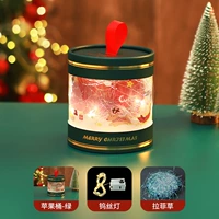 Apple, зеленая лампочка, 1м