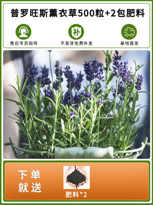 2023年3月2日更新【万能白菜价】的图片 第7张