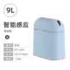 9L Pink Blue Limited Model-Battery Model-SF Express, 9L, 9L, 9L