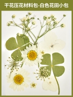 Белый набор материалов, небольшая сумка, 12 штук