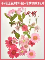 料 Сухое цветочное давление цветочное материал сумки-18 кусочков цветочных сезонов D Моделей D