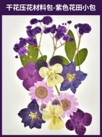 Сиреневый набор материалов, небольшая сумка, 12 штук