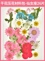 料 Сухое давление цветов.