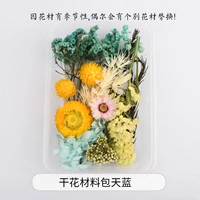 Сухой цветочный материал Bao Tianlan