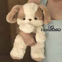 Коричневый щенок [я могу говорить по -английски, я люблю тебя] быстрая стрижка