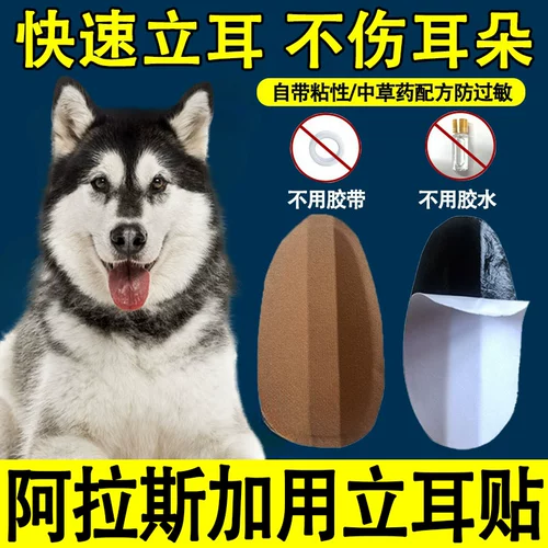 Аляска собака специальная наклейка с ухом наклеивание уши уши уши уши вспомогательные артефакты щенки
