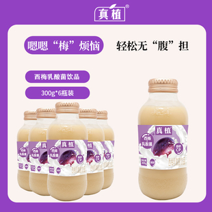 【首单6】西梅nfc乳酸菌饮料玻璃瓶300g*6瓶