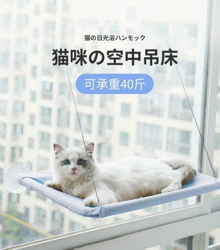 Кошка застряла с твердым древесным гнездо