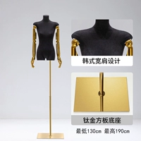 Golden Fang Board+Black Wome Model