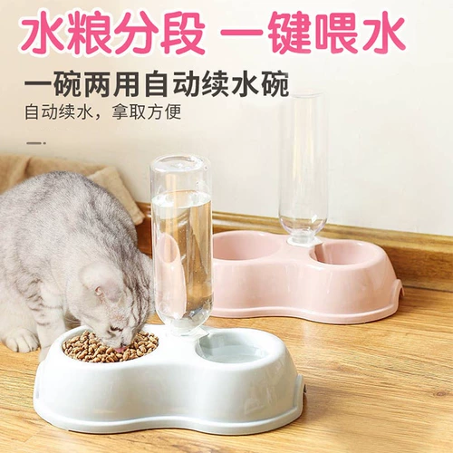 Кошачья чаша, собачья чаша, кошка, чаша для питомца для собак, кошка, рис, рисовая пищевая кошка, кошка для собак двойная миска с автоматической питьевой водой против