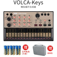 Ключи+батарея+сумка для хранения