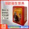 Mặt nạ phòng độc chữa cháy được chứng nhận 3C tiêu chuẩn quốc gia TZL30 bộ lọc thoát hiểm tại nhà khách sạn Mặt nạ phòng độc tự cứu 