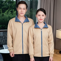 ZH-520 бежевый синий воротник обычный стиль