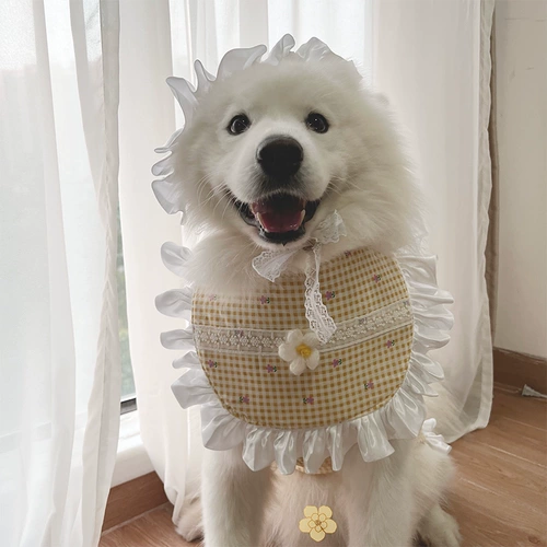 Большая одежда для собак осень и зимние собаки, собачья одея