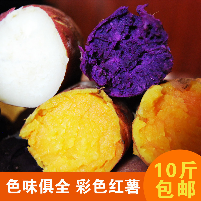 饮马泉央视专访,心有所薯,传统工艺纯手工制作手工红薯粉条,彩色红薯