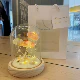 3 медуза Ночные огни- [Материал содержит цилиндрическую стеклянную крышку] USB-модель+подарочный пакет