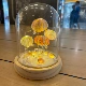 4 ночные светильники медузы- [Материал содержит цилиндрическую стеклянную крышку] модель USB
