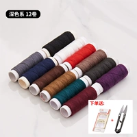 Dark Color 12 томов (коллекция плюс купень иглы)