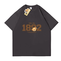 Тедди Айлан 1892 г. [углеродная пепела]