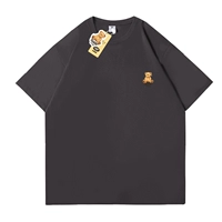 Классический плюшевый мишка [углеродная пепела]