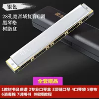 28 Horon Wide Forjuvenation Silver (полный набор одаренных)