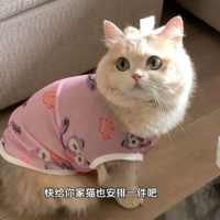 Фиолетовый кролик (милая девушка)