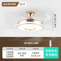 42 -Inch/всасывание золото/полное спектр/6 шестерня/частота пульт дистанционного управления