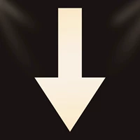 Двойной фонд.