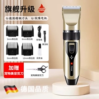 [Обновление флагманского движения] Полный набор местного тирана Gold+Professional Beauty Knife