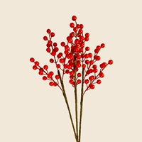 10 фруктов богатства [Fortune Jinbao]