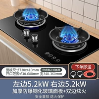 Модель модели 5,2 кВт Двусторонняя огненная плита Fire Flame + Закрашенная стеклянная панель [защита от флагма]