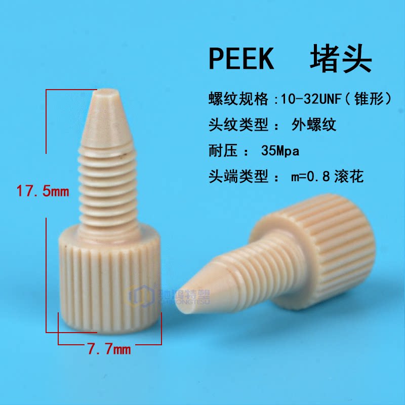 PEEK Plug